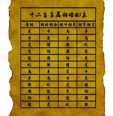 2005年属相|2005出生属什么生肖查询，2005多大年龄，2005今年几岁